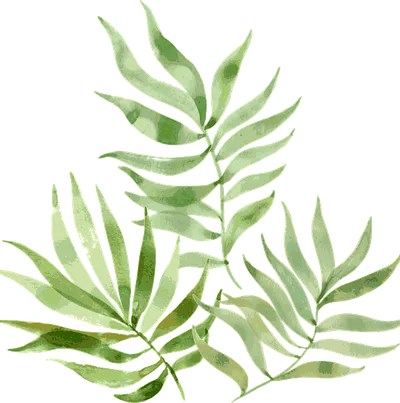 Relaxing palm leaves